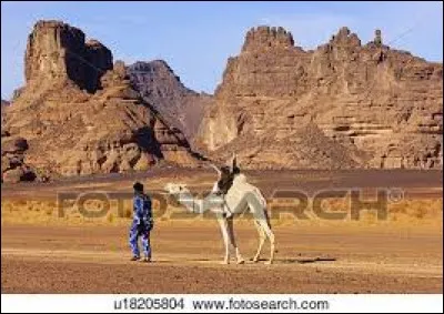 Les Touaregs, nomades vivants dans le Sahara central, sont aussi appelés "Hommes bleus" à cause de la couleur ...