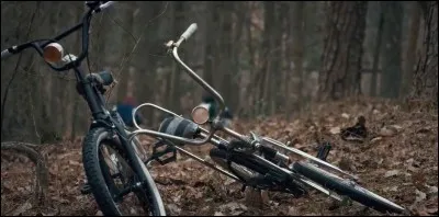 Lequel d'entre eux va mystérieusement disparaître et va être au cur de l'intrigue de la saison 1 ?