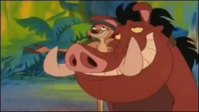 Retrouvez le nom de ces deux personnages du "Roi lion" ?