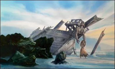 Quelle vivenef est échouée sur une plage ?