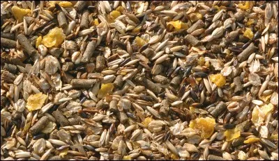 Que mange le cheval ?