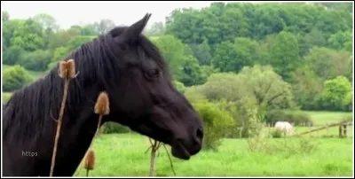 Qu'est-ce qu'un spa ?