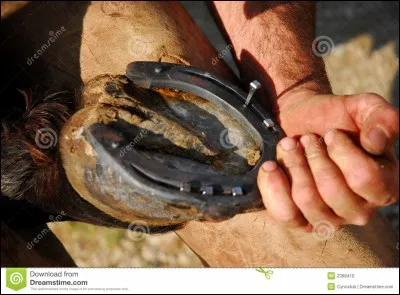 Comment nomme-t-on la personne qui pose des fers aux sabots des chevaux ?