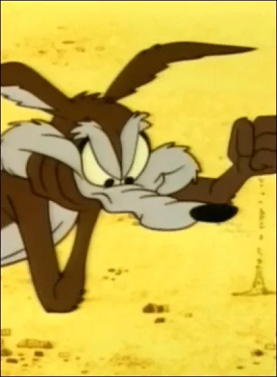 Quels oiseaux sont sans cesse poursuivis par Vil Coyote ?