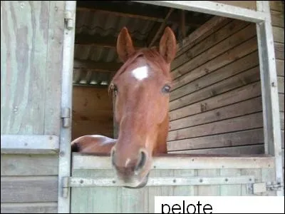 Quel est le nom de cette liste ?