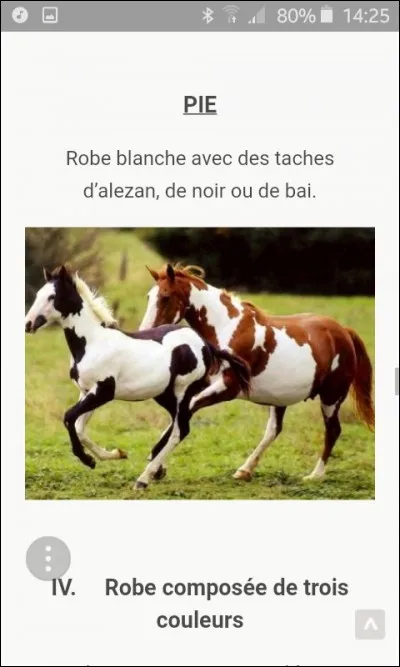 Cite 2 robes composées :