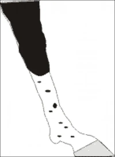 Quel est le nom de cette balzane ?