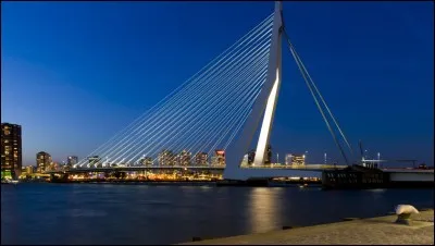 Il est bien beau, ce pont, quand on l'approche par l'eau, à bord d'une péniche, sur la Meuse. Il est nommé en l'honneur d'un philosophe humaniste, chanoine de Saint-Augustin qui y vécut au XVe siècle. Ce pont possède un pylône asymétrique de 139 m, ce qui lui vaut le surnom de cygne. Quel est son nom ?