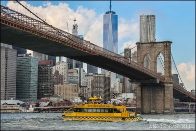 Chapeau à l'architecte qui, il y a 150 ans, a eu la brillante idée d'intégrer au pont cette singulière promenade pour les piétons. Il y a quelque chose de grandiose à rouler sur ce pont : il est massif avec ses piliers à double arcade et ses câbles imposants. Êtes-vous en mesure de l'identifier, parmi ses 3 choix ?