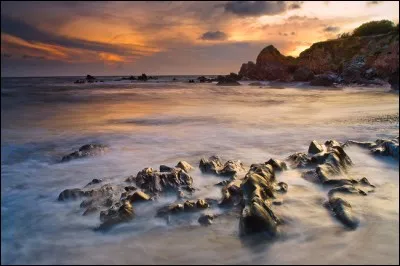 Qui chantait "Tout est neuf et tout est sauvage" ?