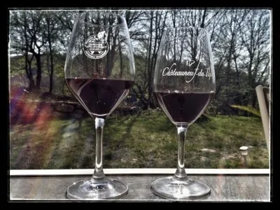 De quel cru provient le vin nommé "Châteauneuf-du-pape" ?