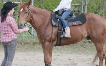 Quiz Galop 3