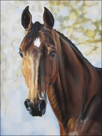 Quelle est la couleur du cheval qui est sur la photo ?
