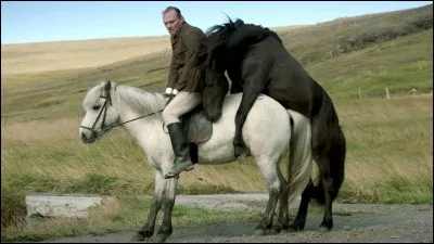 Comment appelle-t-on les deux plus grosses parties du mors ?