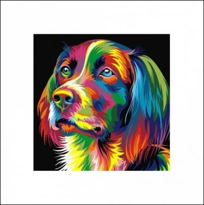 De quelle couleur était le chien dans le titre d'un roman de Georges Simenon ?