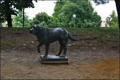 À quel chien Renaud rend-il hommage dans sa chanson ?