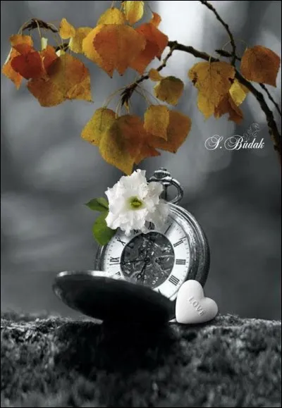 Qui chantait "Que tu sois là de temps en temps, et je voudrais que tu te rappelles, notre amour est éternel" ?