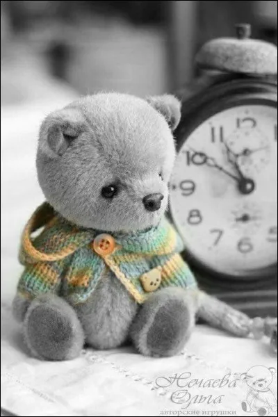 Et à quoi un quiz est-il utile ?