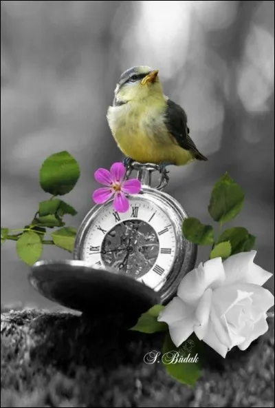 Et enfin, le temps c'est....