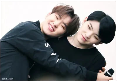 Quel est le nom de ce ship ? (Hoshi & Woozi)