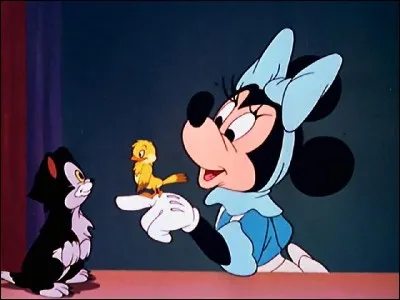 Minnie a adopté ce chat en 1964, mais à qui était-il à l'origine ?