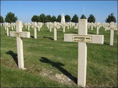 Qui chantait "Monsieur le Président de France je vous écris du Michigan" ?