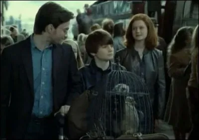 De quel film est extraite cette image ?