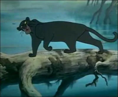 Quel est le nom de cette panthère ?