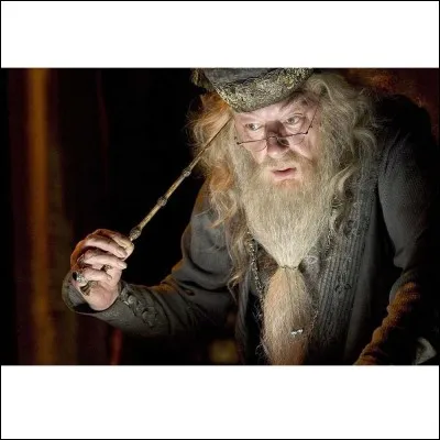 Quel surnom n'a jamais été donné à cette baguette ?