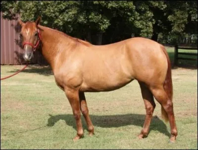 Quelle est la couleur de cette robe ?