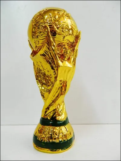 A-t-il joué les Coupes du monde en 2002, 2006, 2010 et 2014 ?