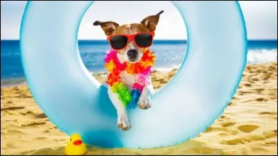 Espagnol : conjugaison-Compléter le verbe chanter au présent de l'indicatif : Yo canto , tú cantas , él canta , nosotros ........ ?