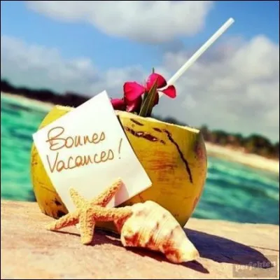 Chimie - Quel produit emploie-t-on pour nettoyer la piscine des microbes et les bactéries ?