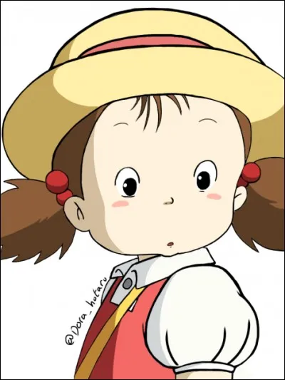 La petite fille a disparu. Où ont lieu les premières recherches du village ?