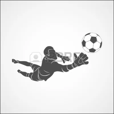 Qui était dans les buts du Paraguay au match France-Paraguay ?