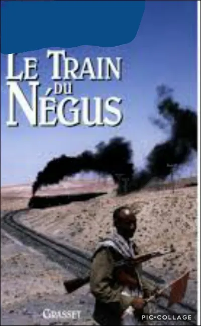 Qui est l'auteur du livre "Le train du négus" en 1994 ?