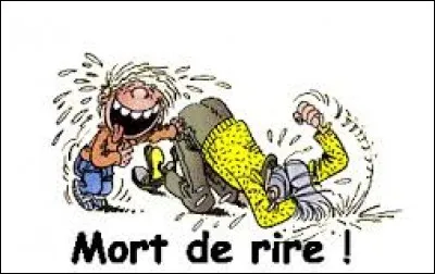 Quel humoriste est né à Mérignac ?