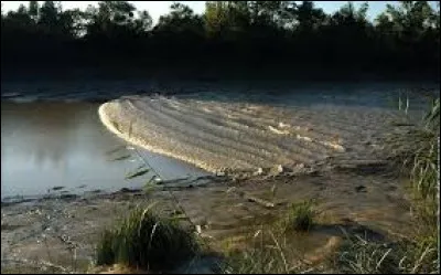 Soumise à la remontée brusque des eaux à contre-courant de l'écoulement fluvial, la Garonne provoque cette vague appelée :