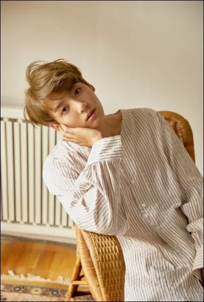 Dans quel MV Jungkook vomit-il dans les toilettes ?