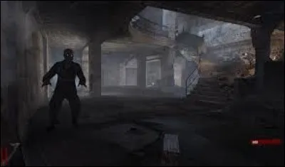 Passons à autre chose à présent, vous vous rappelez sûrement que Natch Der Untoten ne possédait pas grand chose hormis des armes sur les murs, la boîte, mais aussi un atout, en tout cas, sur Black Ops I. De quel atout s'agit-il ?