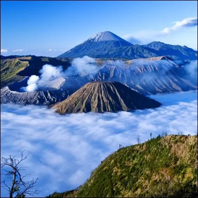 Le volcan dont nous parlons présentement est au second plan sur la photo, on le voit le cratère fumant devant le Semeru et derrière le Batok. Il a 2 329 m d'altitude et son cratère fait 800 m.
Ici, on lui fait encore des offrandes : il est considéré comme une divinité créatrice. Qui est-ce ?