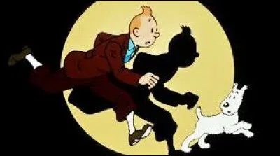 Sur quoi Tintin a-t-il marché ?