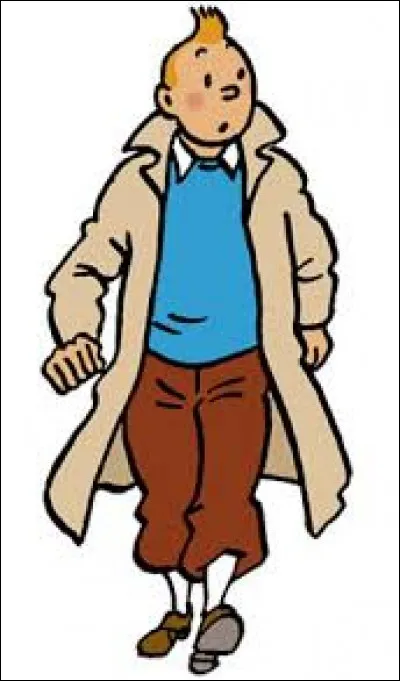 Où Tintin est-il allé ?