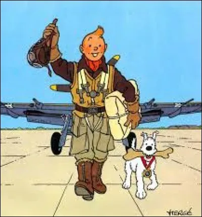 De quelle couleur le lotus est-il ?