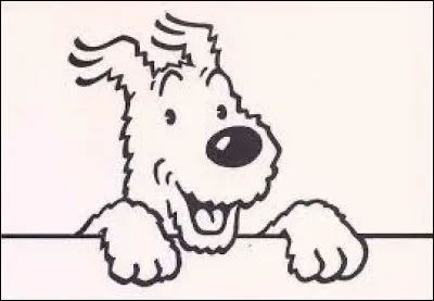 Dans un album, l'étoile est :