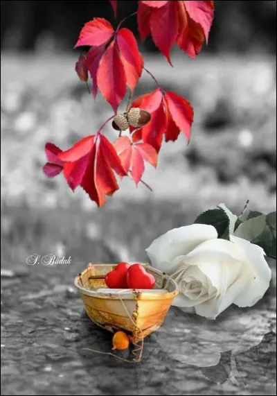 De quelle couleur était "Octobre" dans le livre de Tom Clancy ?