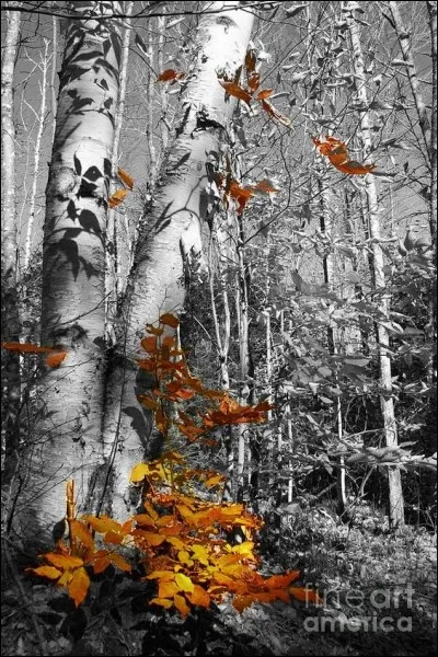 Qui chantait "A chaque fois les feuilles mortes te rappellent à mon souvenir" ?