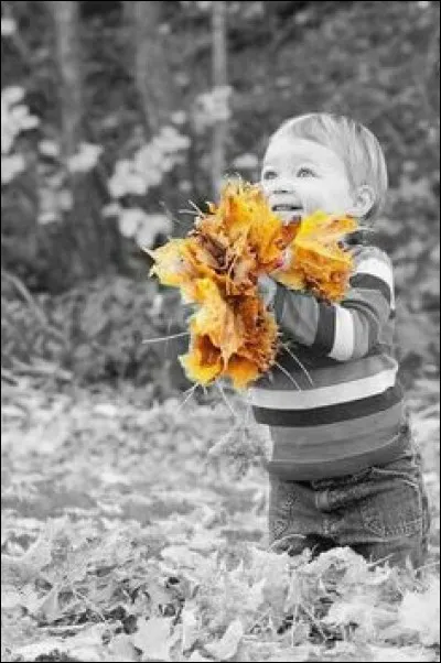 En quel mois ce petit garçon va-t-il offrir ce bouquet de feuilles d'automne, à l'occasion de la fête des grands-pères ?