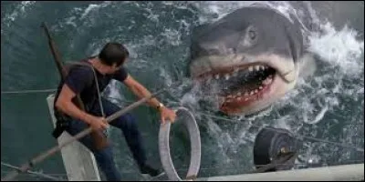 Le réalisateur du film "Les Dents de la mer" est Woody Allen.