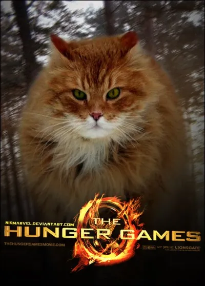 Comment s'appelle le chat de Prim, la sur de Katniss ?